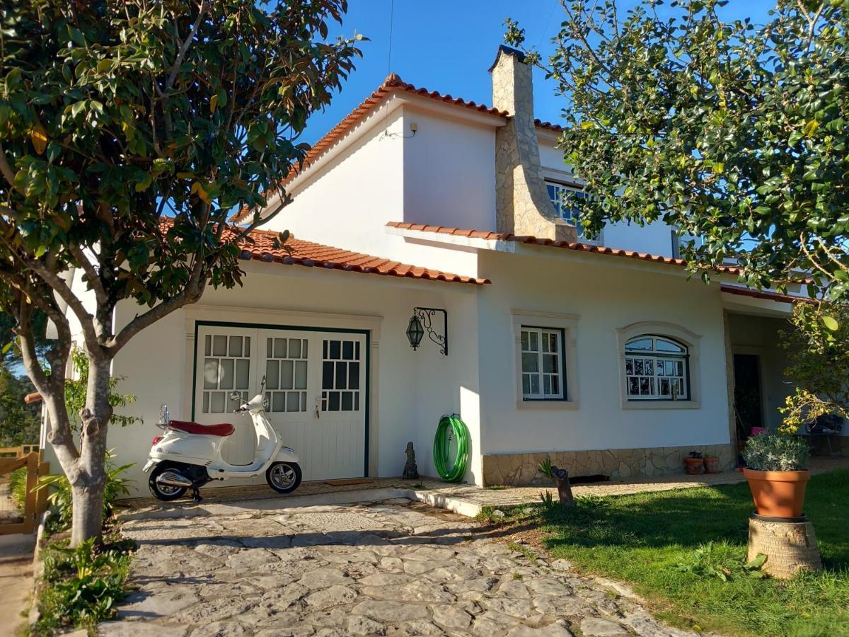 The Space - Central Portugal Fungalvaz Екстер'єр фото